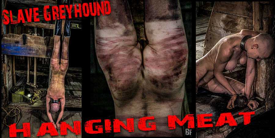 Hanging Meat – Slave Greyhound | Full HD 1080p | Nov 10, 2019
