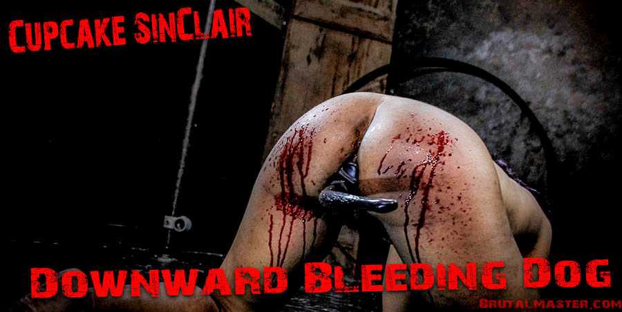 Anal Bleeding Porn - Anal Torture Blood | BDSM Fetish